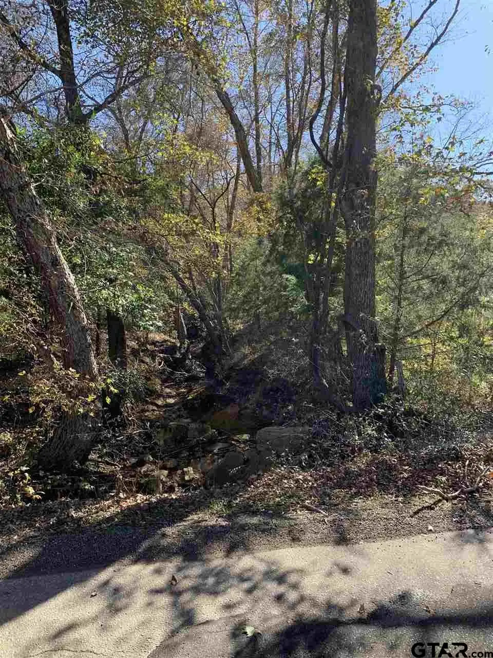 Tbd Cr 472 & I20, Lindale