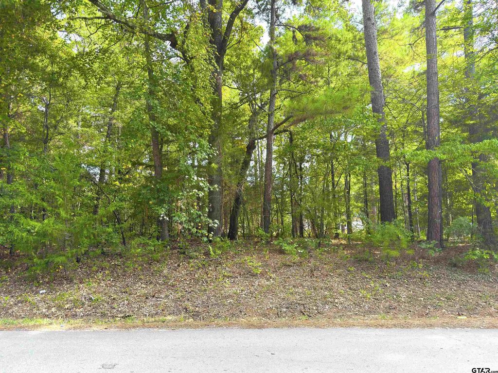 534 Caroline Lane, Bullard