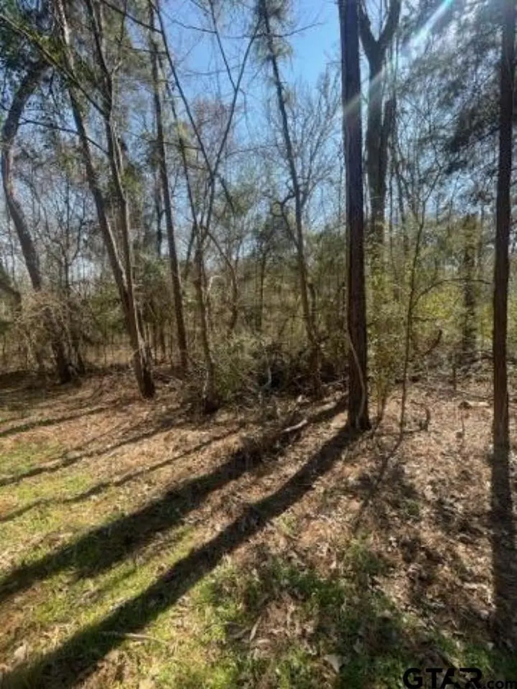 214 Forest, Bullard