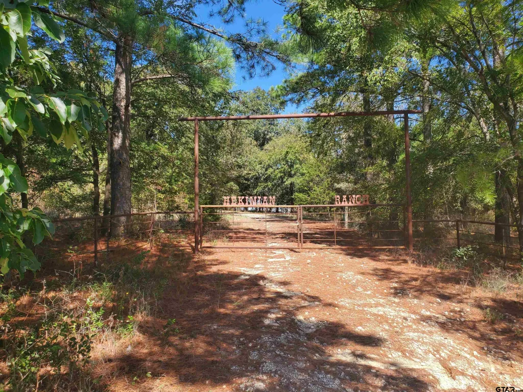 15160 County Road 1227, Flint