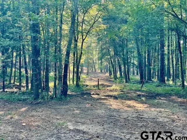 13050 Timber Creek Dr, Flint