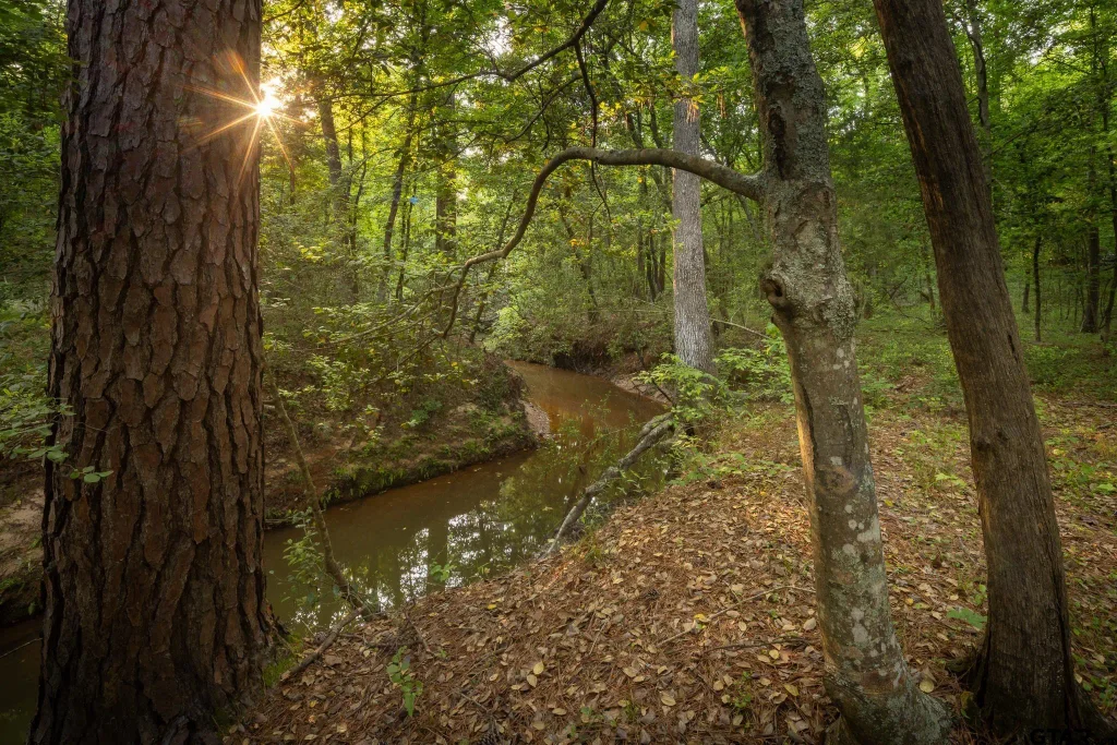 14221 Pine Overlook Dr, Flint