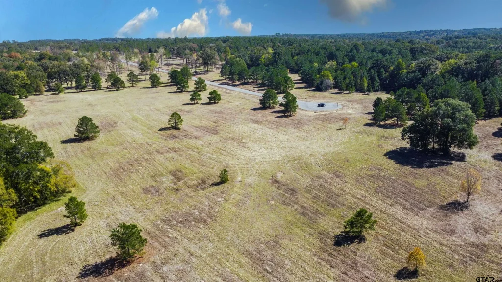 15868 Aniston Ln - (lot 21), Flint