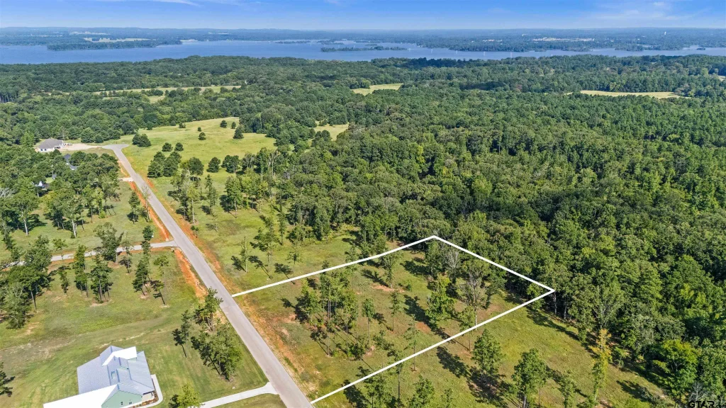 15810 Aniston Lane, Flint