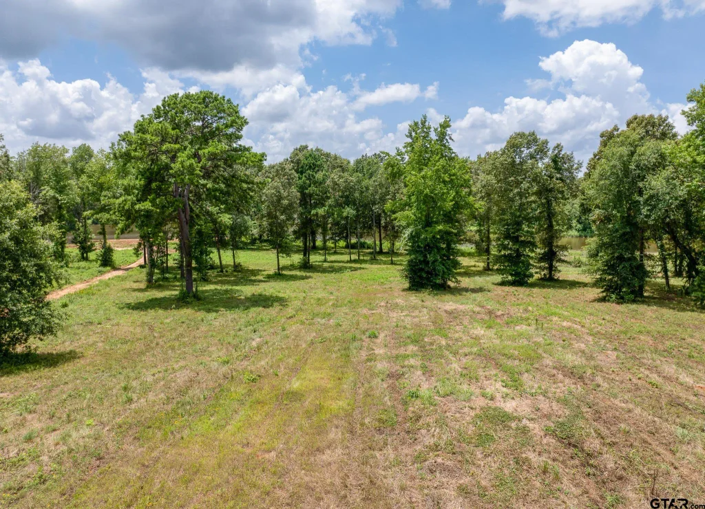 765 Stone Chimney Rd. (lot 2 Cr 3608), Bullard