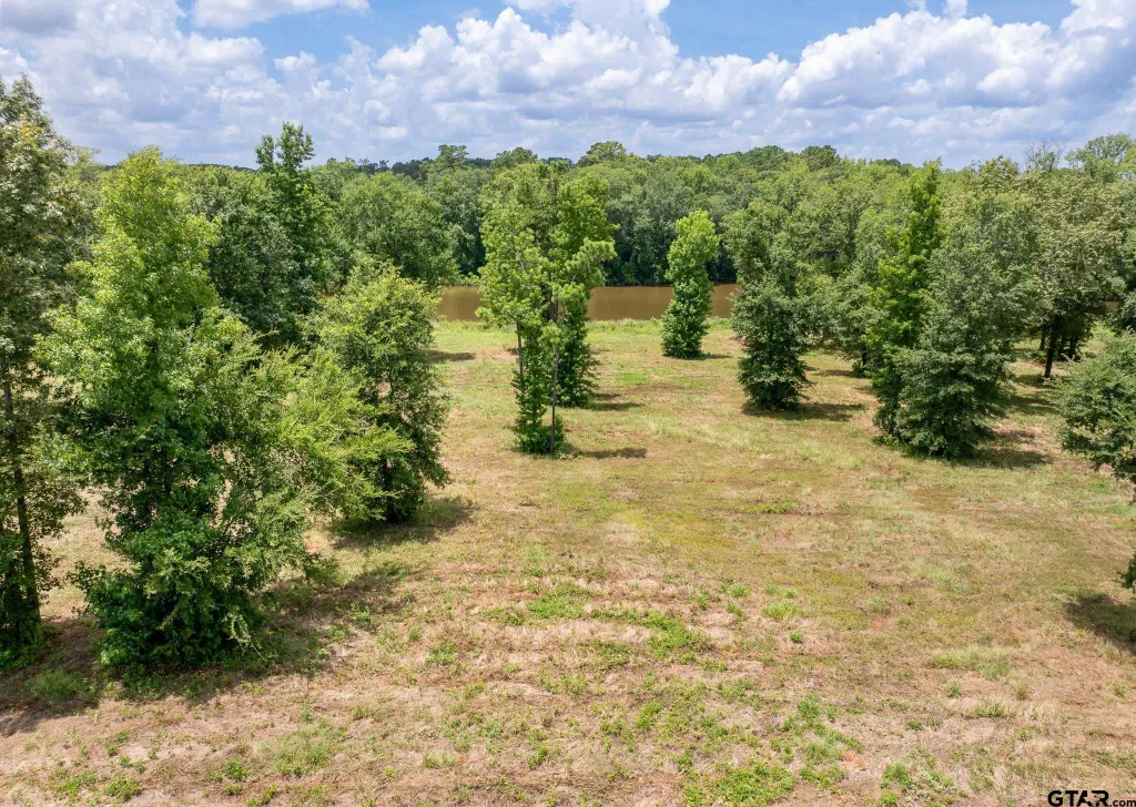 785 Stone Chimney Rd. (lot 3 Cr 3608), Bullard