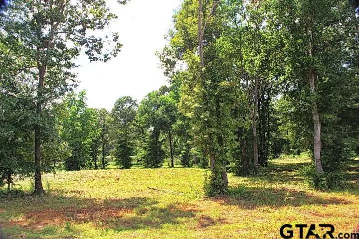 805 Stone Chimney Rd. (lot 4 Cr 3608), Bullard