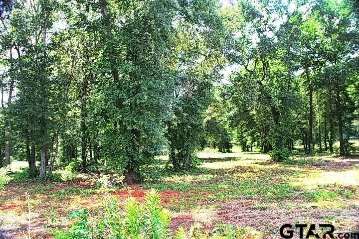 815 Stone Chimney Rd. (lot 5 Cr 3608), Bullard
