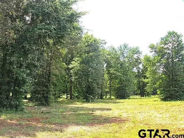 835 Stone Chimney Rd. (lot 6 Cr 3608), Bullard