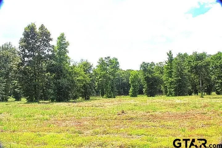 885 Stone Chimney Rd. (lot 8 Cr 3608), Bullard