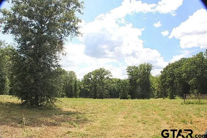 915 Stone Chimney Rd. (lot 9 Cr 3608), Bullard