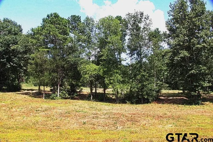 965 Stone Chimney Rd. (lot 11 Cr 3608), Bullard