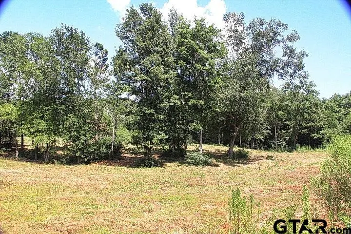 985 Stone Chimney Rd. (lot 12 Cr 3608), Bullard