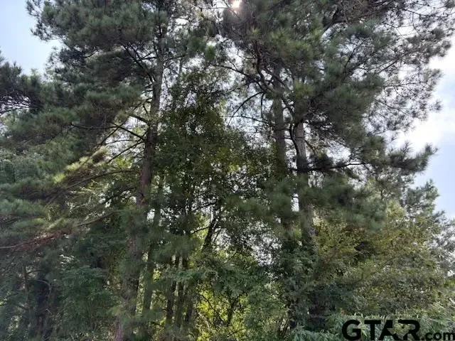 1395 County Road 3405, Jacksonville