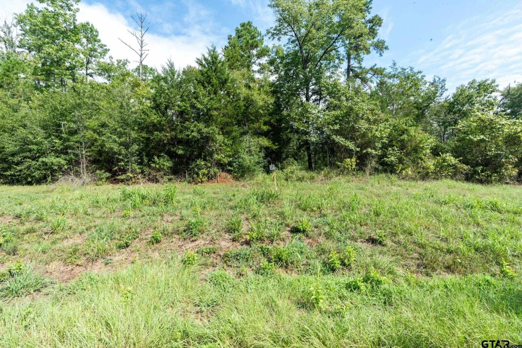 Tbd Tract 7 Moser Ln, Whitehouse