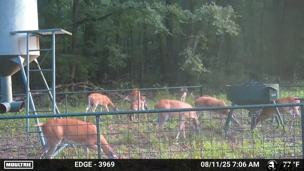 6935 U.s. Highway 175 W, Jacksonville