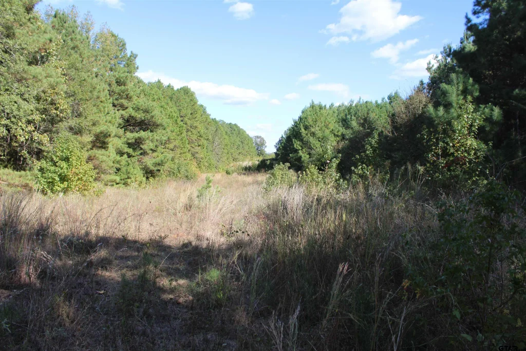 Tbd Cr 1508 - 37.4 Acres, Jacksonville