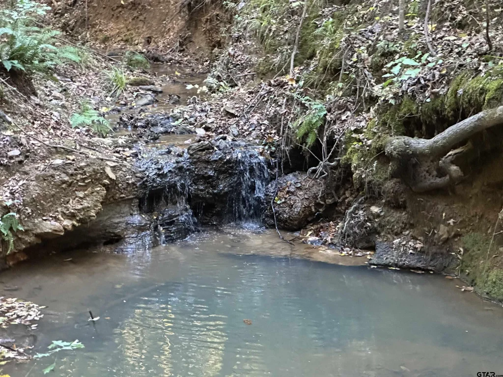 Tbd Cr 1707, Jacksonville