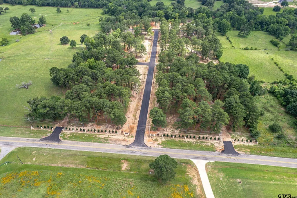 12155 Stephanie Ln, Flint