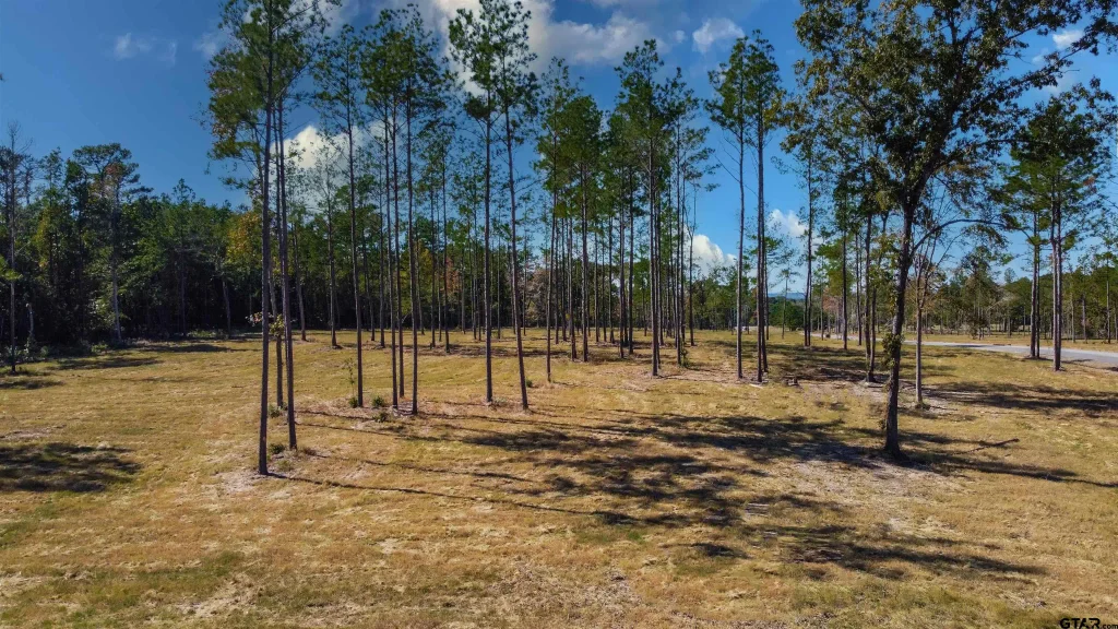 15922 Aniston Ln - (lot 20), Flint