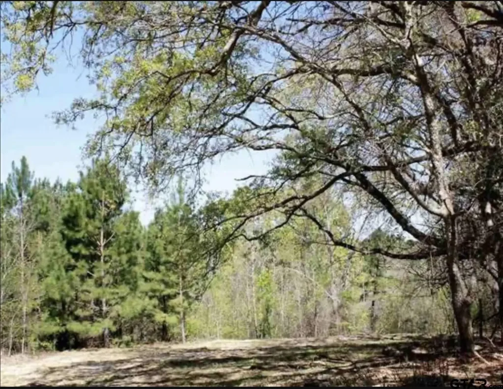 19201 Hwy 110, Whitehouse