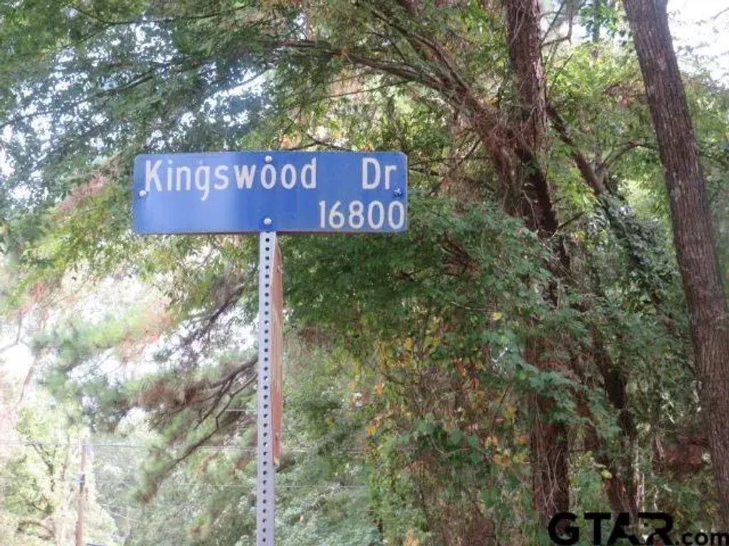 211 S Kingswood, Flint