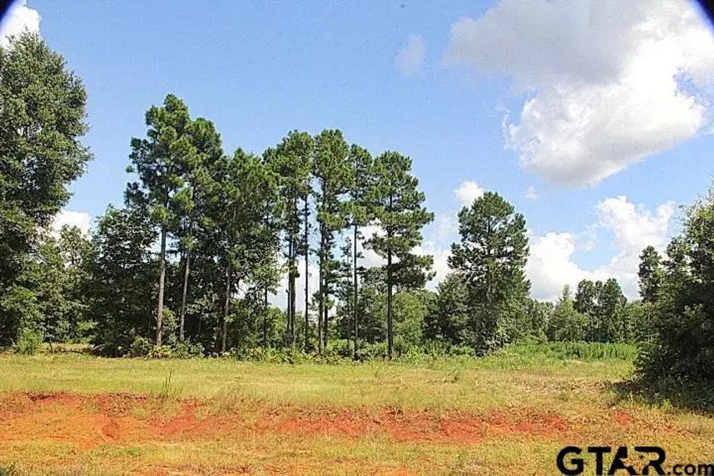 950 Stone Chimney Rd. (lot 17 Cr 3608), Bullard