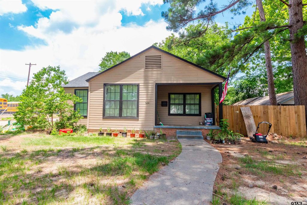 524 W Buchanan St, Mineola