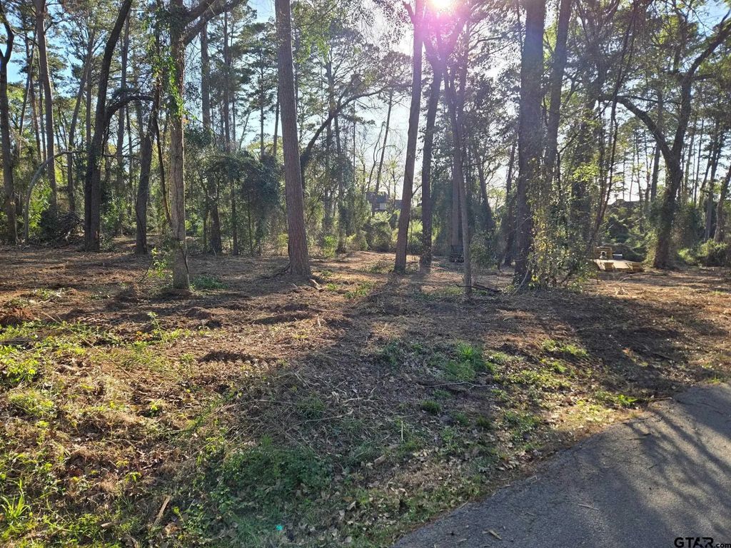 Lot 5 Hickory Lane, Bullard