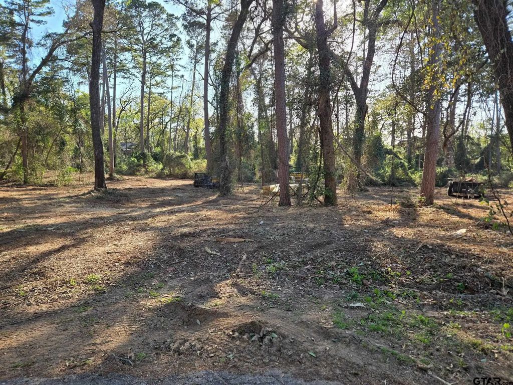 Lot 6 Hickory Lane, Bullard