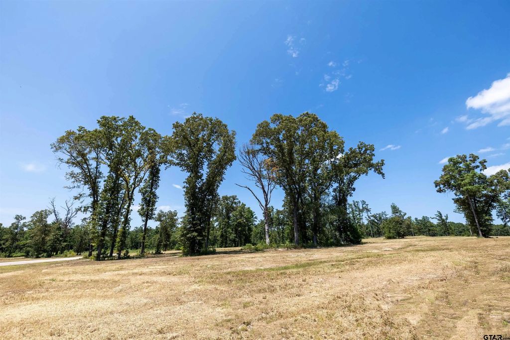 15640 Aniston Ln - (lot 25), Flint