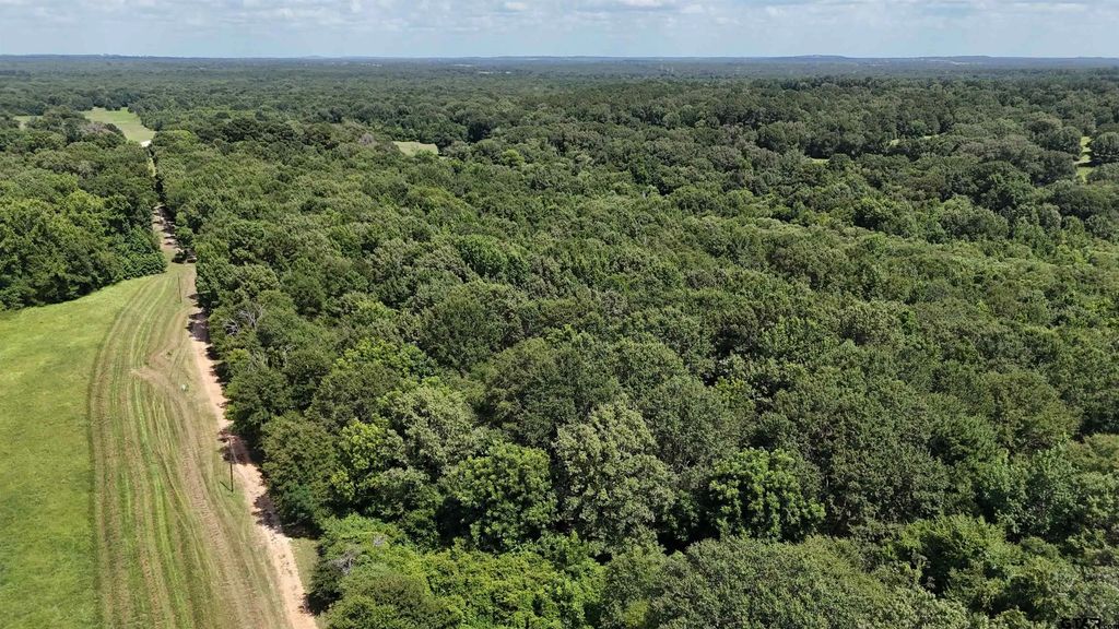 000 County Road 4903, Jacksonville