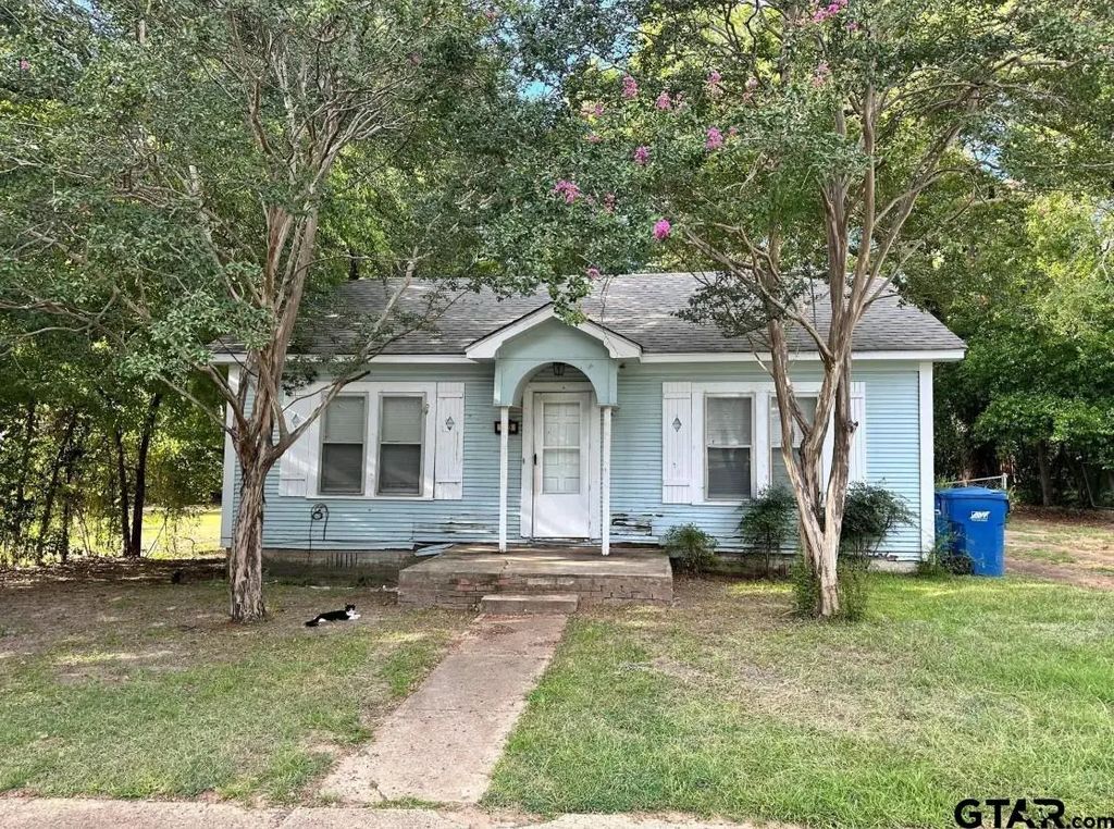 305 E Bradford, Troup
