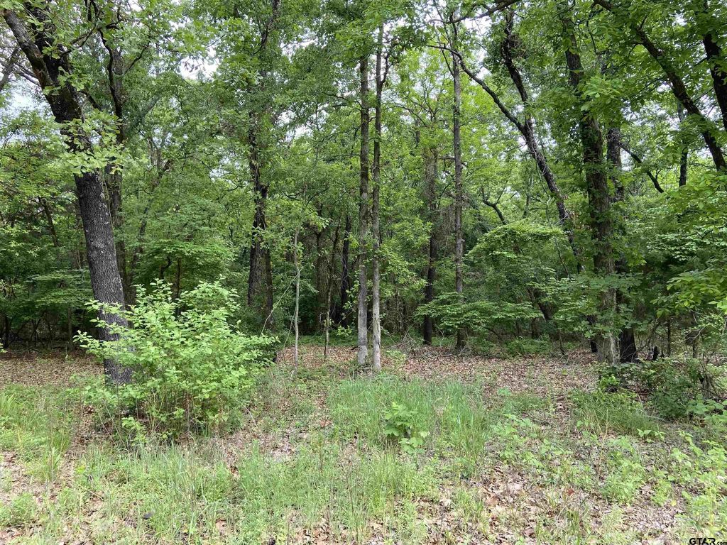 23388 Fm 1995, Lindale