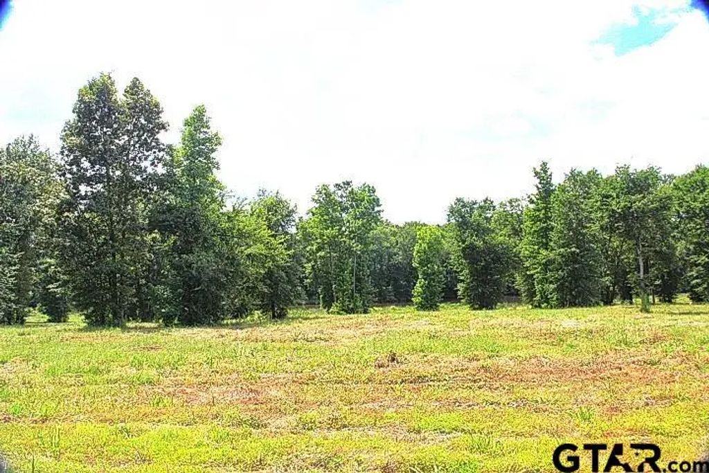 885 Stone Chimney Rd. (lot 8 Cr 3608), Bullard