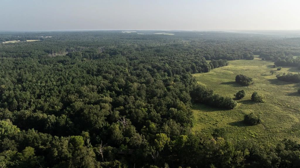 Tbd Cr 461, Laneville