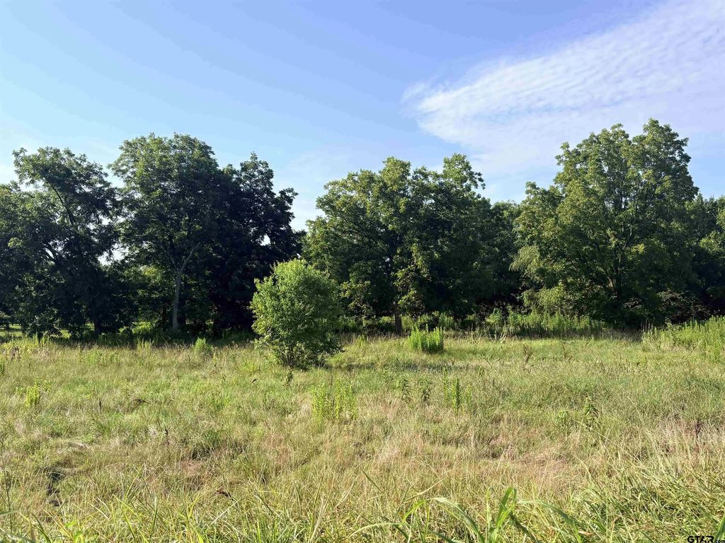 Tbd Fm 2493, Bullard