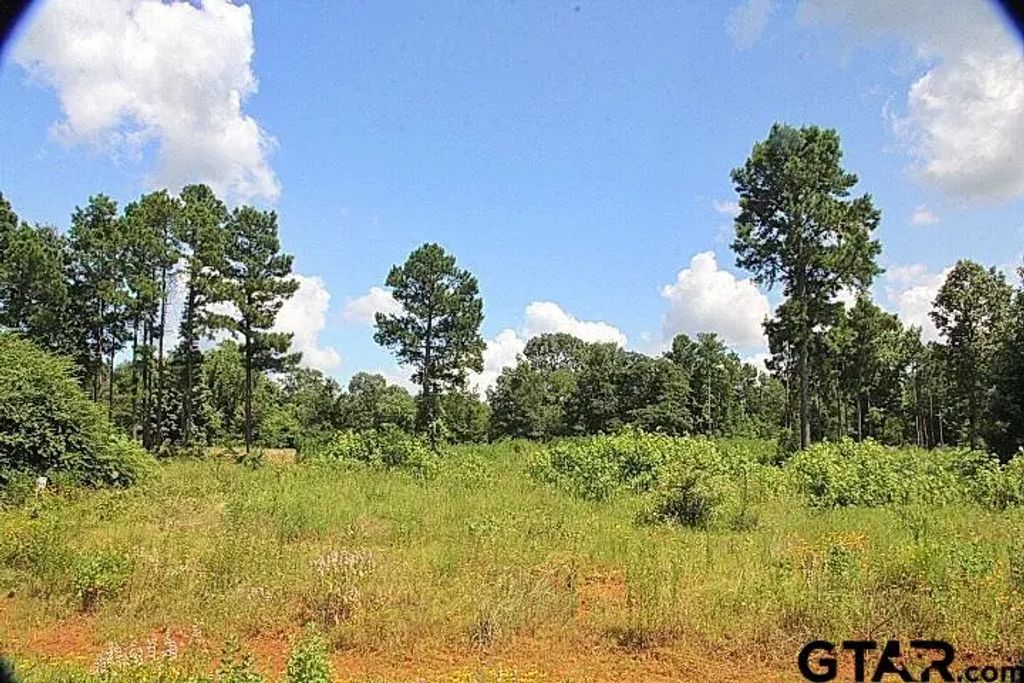 920 Stone Chimney Rd. (lot 19 Cr 3608), Bullard