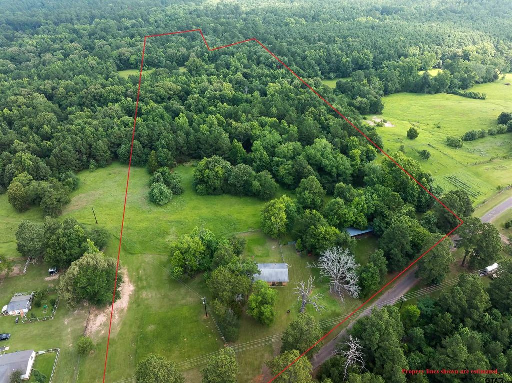 519 An County Road 45, Palestine