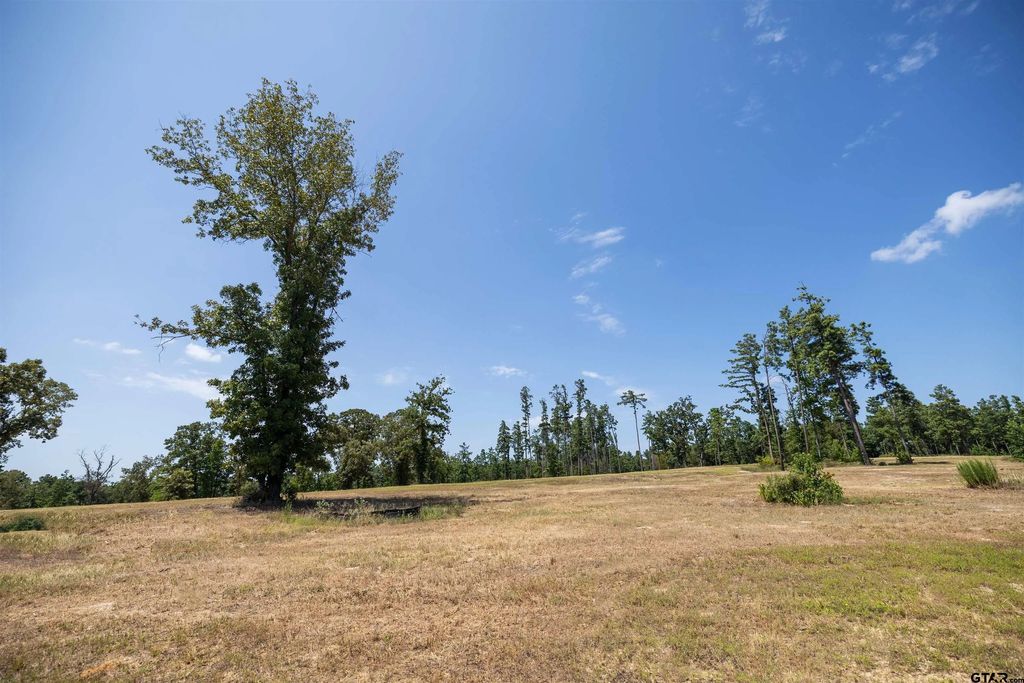 15588 Aniston Ln - (lot 26), Flint
