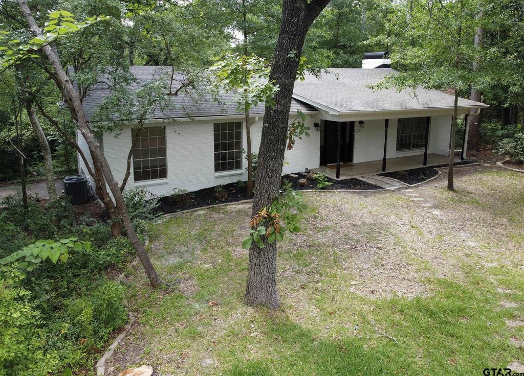 431 Lone Star Ln, Hideaway
