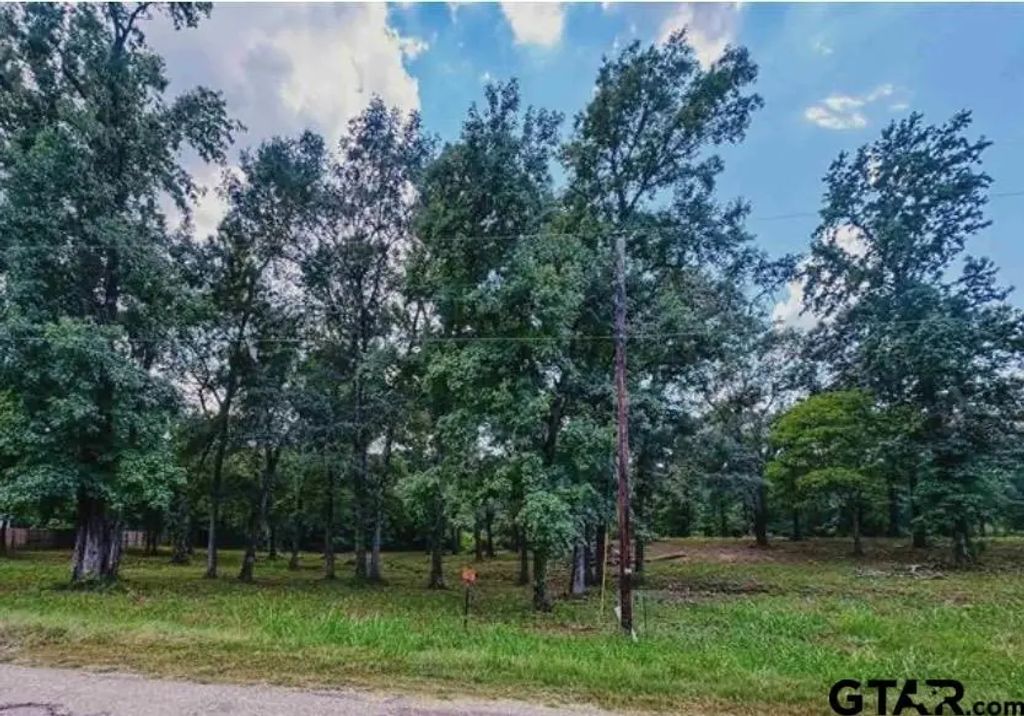 437 County Road 3608, Bullard