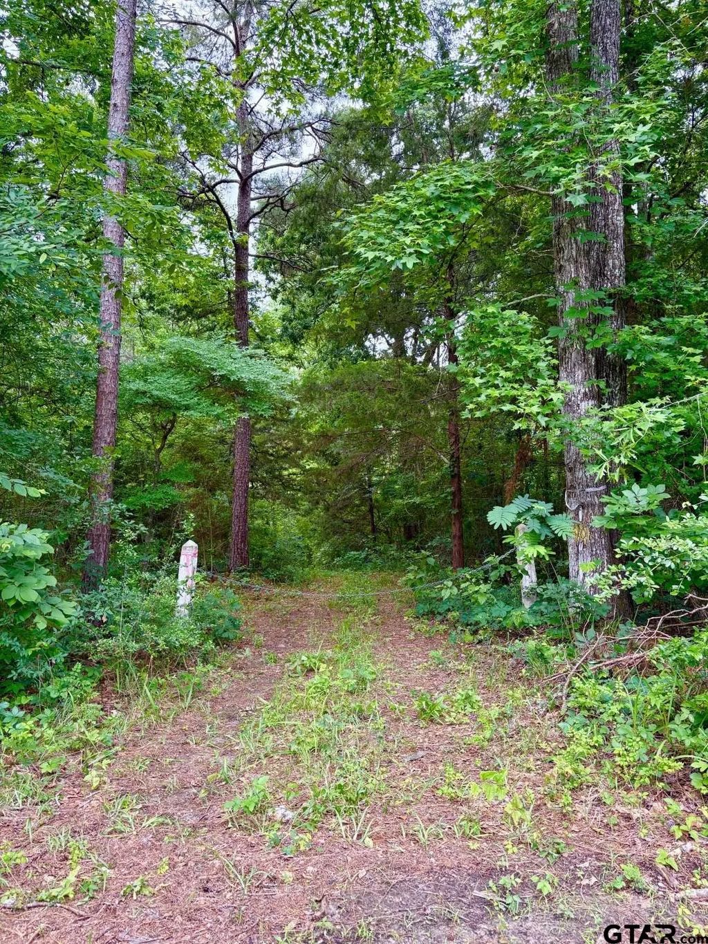 Tbd County Road 4504, Jacksonville