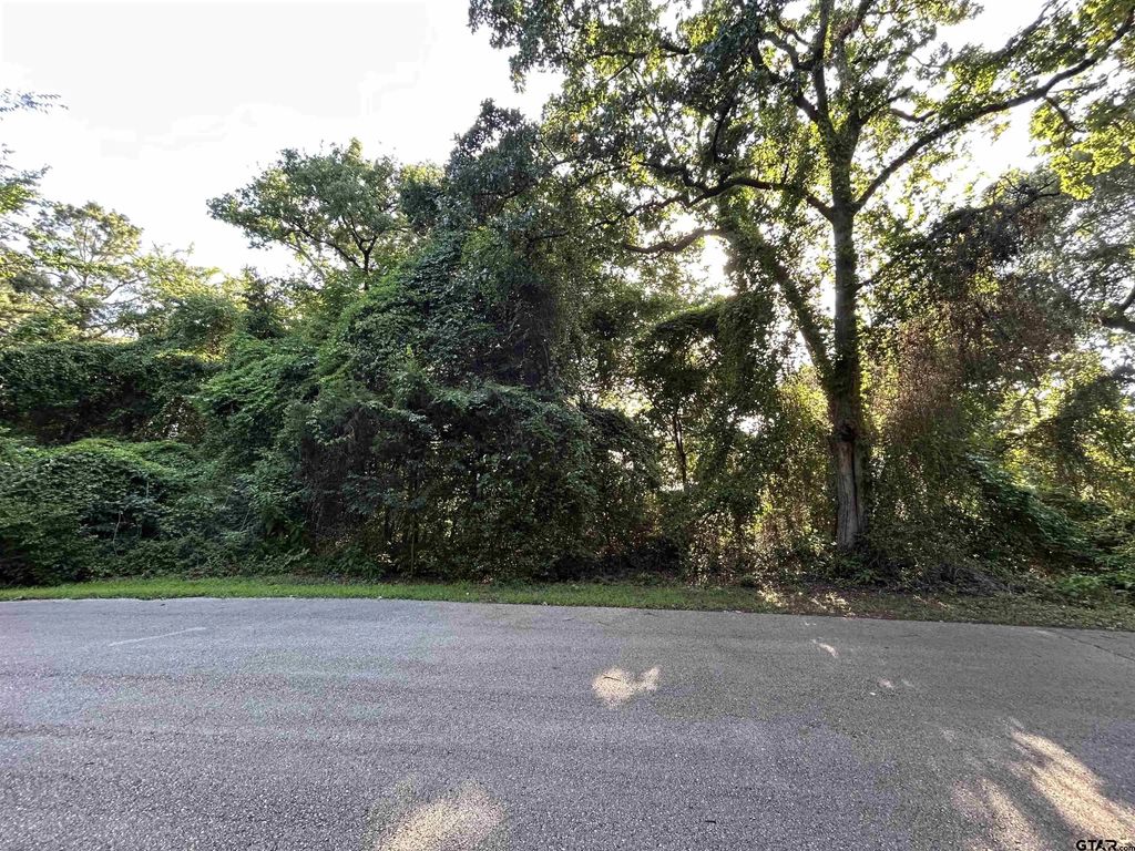 0 Lookout Lake Circle, Flint