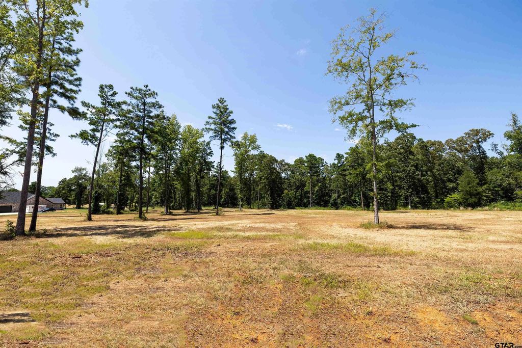 15922 Aniston Ln - (lot 20), Flint