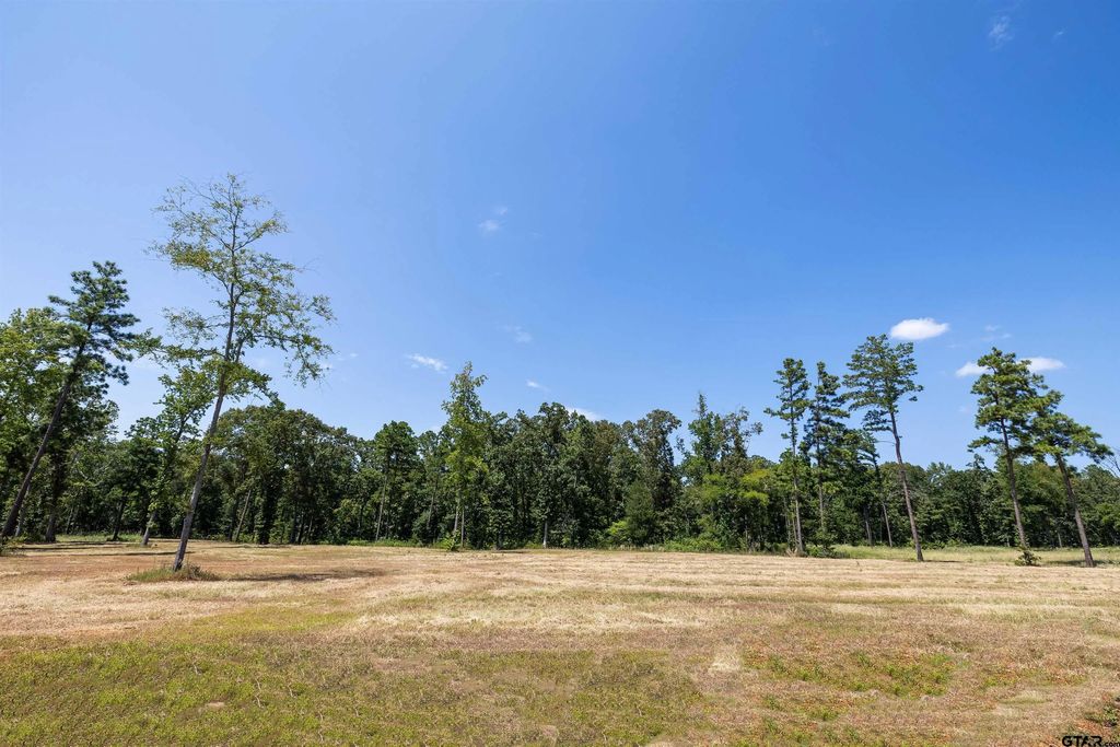 15868 Aniston Ln - (lot 21), Flint