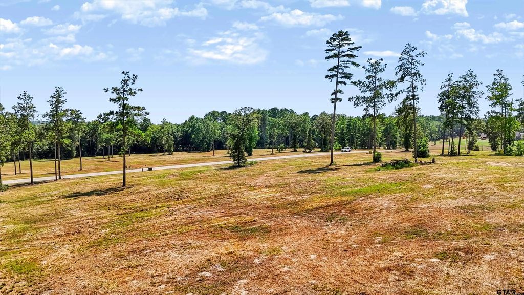 15483 Aniston Ln - (lot 1), Flint