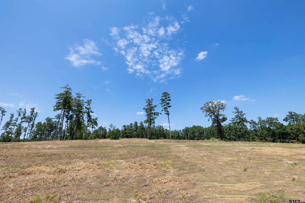 15538 Aniston Ln - (lot 27), Flint