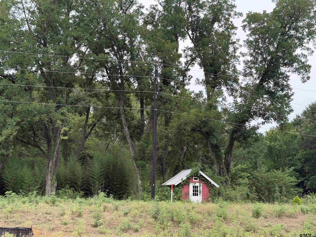 18171 Fm 16 Lot #7, Lindale