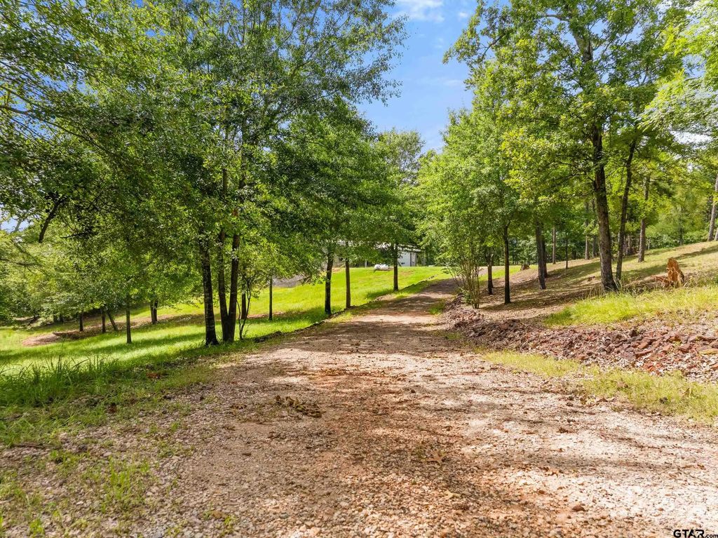 17379 County Road 318, Tyler